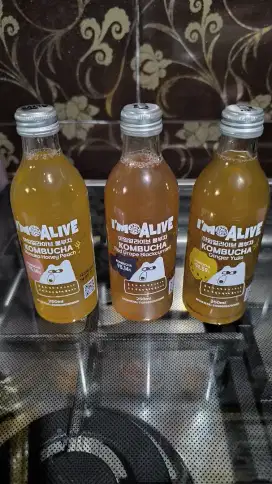 kombucha made in korea original