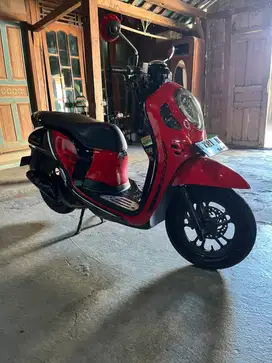 Honda Scoopy 2021