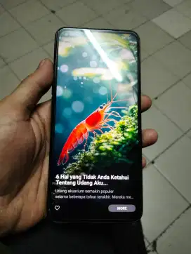 Oppo a96 fulset no minus