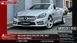 Mercedes Benz SLK250 AMG 2012 Silver On Black