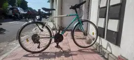 Sepeda Federal Bobcat MG 20 Rata air