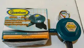 Yg PHP minggir, regulator merk quantum