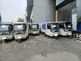 TVS cargo box roda tiga