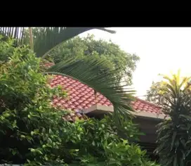 JUAL CEPAT RUMAH STRATEGIS PASEBAN JAKARTA PUSAT