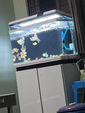 Jual aquarium mewah