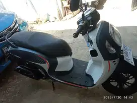 Honda Scoopy 2024