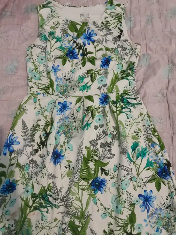 Dress Wanita Merek Enfocus Studio