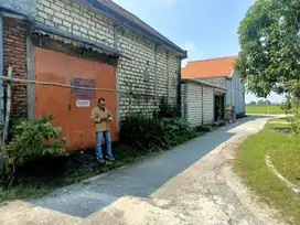 Rumah Kelurahan Sukosongo Kec Kembangbahu Kab Lamongan
