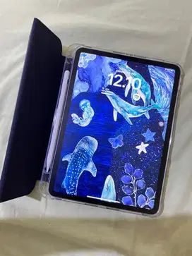 iPad Pro 11 M1 2021