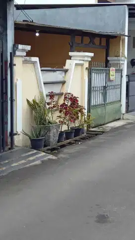 Rumah catalina gading serpong