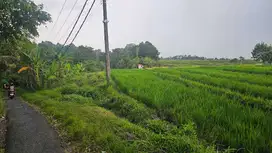 tanah di kedungu tanah lot,langsung sungai diblkng tanah,aspek kuning