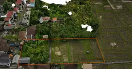 For Lease: 1,691m² Rice Field View Land in Tranquil Cepaka