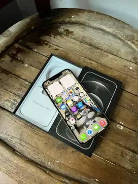 iphone 12 promax 256 int