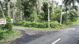 Jual tanah kerambitan tabanan 20 are