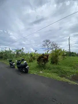 Jual tanah bajera 11are selemadeg tabanan