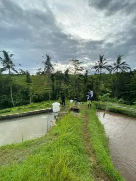 Jual tanah penebel tabanan