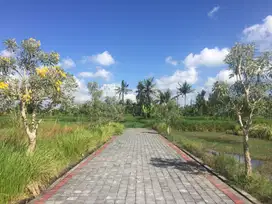 Tanah Kavling 146 m2 di Pering - Gianyar - Bali