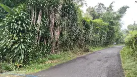 VIEW SUPER BAGUS PEGUNUNGAN || KEBUN CENGKEH DI JALAN WISATA CURUG