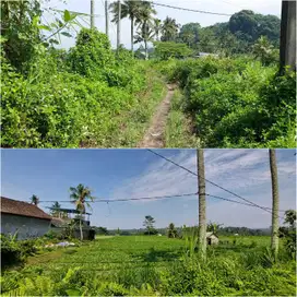 Tanah 12,5 Ha di Muncan Rendang Cocok untuk Hotel/villa