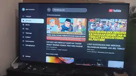 TV sony bravia 65 inch
