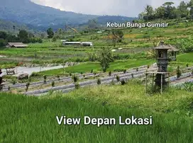 Dijual tanah kebun view sangat indah dan suasana sejuk pegunungan