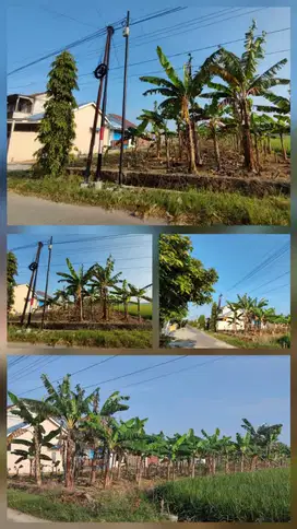 DIJUAL TANAH JL.SETO GUMILIR CILACAP 2 MUKA HARGA NEGO SAMBIL NGOPI