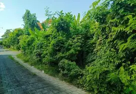 Jual Tanah 5 Are di Glogor Carik