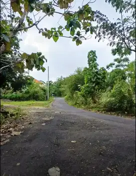 Tanah Strategis Dekat Pantai Pandawa dan Gunung Payung
