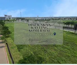 Sewa Kavling Komersil di PIK 2 - Thamrin Center Bisa Bangun Bisnis