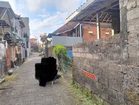 SALE! TNH SGT MURAH DKT KWS'N BISNIS AYANI UTARA DENPASAR