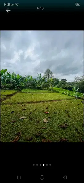 Tanah Kebun Dekat Jalan Besar Ciamis