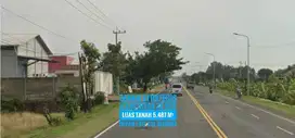 JUAL Tanah Prospektif LD 29 mtr, Sltn Exit Tol MADIUN