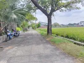 Tanah Gentan 4800Mt, Ld 35Mt, Manang, dekat Luwes, Baki, Sukoharjo
