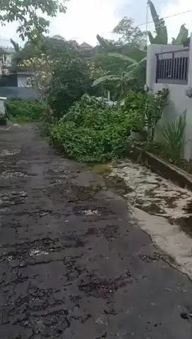 SALE!MURAH SAJA TANAH 1,12 KEBO IWA UTARA