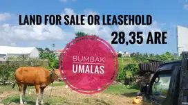 Tanah sewa umalas