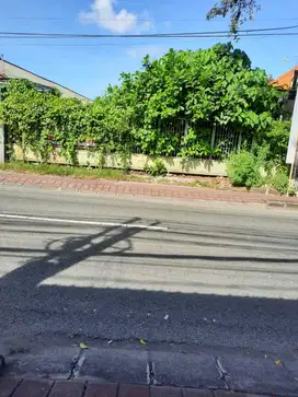 Jual Tanah 12,5 Are di Pinggir Jalan Mertanadi Kerobokan