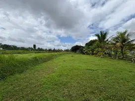 Jual Tanah 4,8 are di Pejeng Kangin dkt Ubud