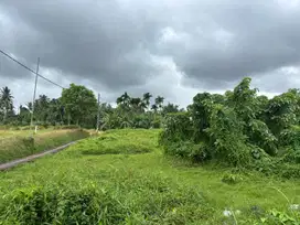 Jual Tanah 13 Are di Pejeng Kawan dkt Ubud