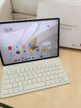 HUAWEI MATEPAD 12X 12/256