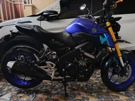 YAMAHA MT 15 2024