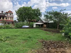 Land For Sale In Jl Cargo Denpasar