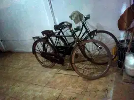Reiligh sport dan eland