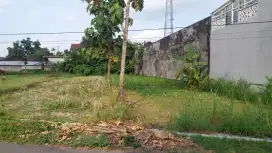 Tanah Sawah Kering