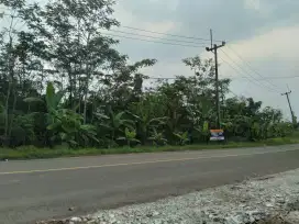 DIJUAL Tanah SHM Tanpa Perantara 4000 m2 Sajira Lebak