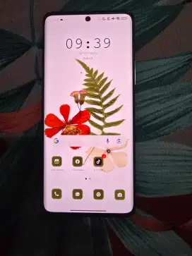 Xiaomi Redmi Note 14 Pro 5G
