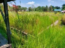 DIJUAL CEPAT ALKAH/ PEMAKAMAN KELUARGA