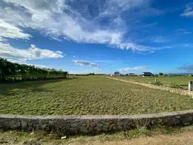 Jual tanah sawah