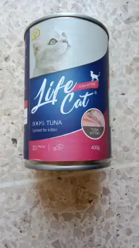 Life Cat Kitten Tuna