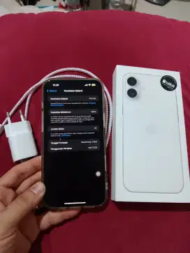 Iphone 16+ 16 plus Putih 128gb Ibox
