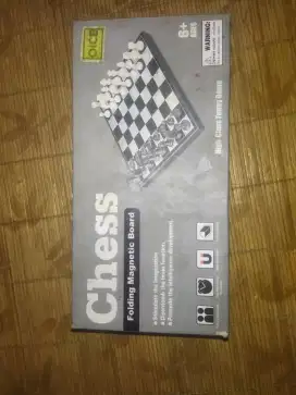chess catur mangnet